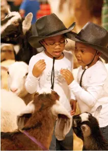  ?? Karen Warren / Houston Chronicle ?? Delaney Wrice, left, and her sister, Dayley Wrice, check out the goats at the petting zoo.