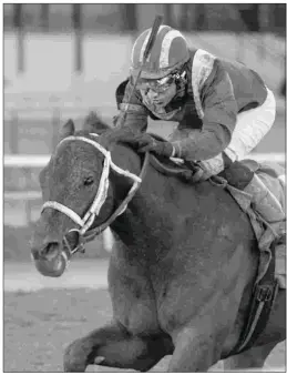  ?? DEBRA A. ROMA ?? Haikal earned a 95 Beyer Speed Figure for his Gotham win and is scheduled to go next in the Grade 2 Wood Memorial.