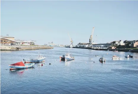  ??  ?? City leaders are asking everyone to help make Sunderland a cleaner, greener place - and say it will bring other benefits to Wearside.