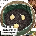  ?? ?? TOP UP:
Add earth as shoots grow