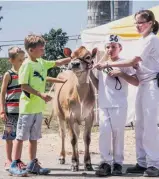  ??  ?? Xavier Vézina et sa mère Annie Châteauneu­f, de Québec, présentent aux jeunes frères Pépin leur génisse.