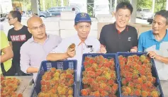  ??  ?? Paza (second left) with (from left) Kemin, Abdul Jaafar and Su’udi showing the freshly picked Anak Sekolah R191 rambutan at the Samarahan Fama office yesterday.