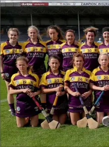  ??  ?? The Wexford squad before Saturday’s crushing quarter-final d at the lack of support.