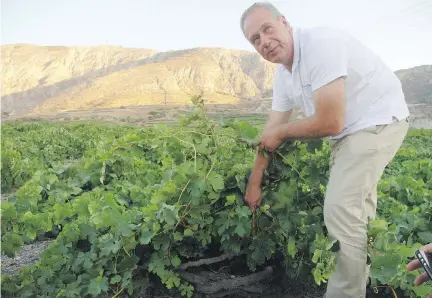  ?? BILL ZACHARKIW ?? Stefanos Georgas shows off some old-vine assyrtiko at Argyros winery on Santorini. Much like sauvignon blanc, assyrtiko is acid-driven.