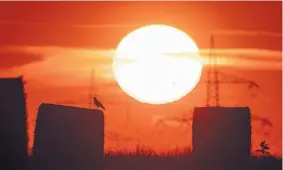  ?? MICHAEL PROBST/ASSOCIATED PRESS ?? The sun rises in Germany on July 25 during a heatwave in Europe. Scientists have confirmed that last month was the hottest month since records began in 1880.