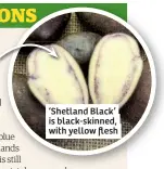  ??  ?? ‘Shetland Black’ is black-skinned, with yellow flesh