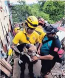  ?? ALONSO TENORIO ?? Orejas fue salvado por los bomberos.