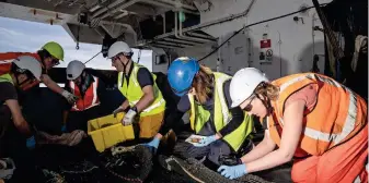  ?? NIWA/OCEAN CENSUS/PARS/SCHNA ?? Forscherin­nen und Forscher sammeln Tiere aus der Probe
