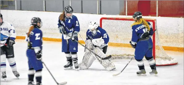  ?? COLIN CHISHOLM ?? AV goalie Lily Beamish makes a save during the Feb. 12 game against the Barrington Barons.