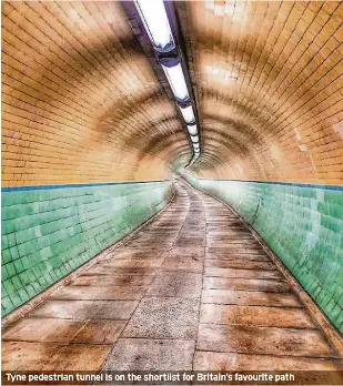 Tunnel route is among top eight paths in Britain - PressReader