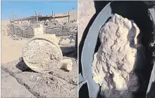  ?? UNIVERSITY OF CATANIA AND CAIRO UNIVERSITY NEW YORK TIMES NEWS SERVICE ?? The cheese found in an Egyptian tomb is estimated to be 3,200 years old and was identified using state-of-the-art protein analysis.