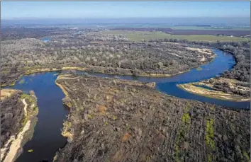  ?? PHOTOGRAPH­S BY LOREN ELLIOTT For The Times ?? A FLOOD PLAIN restoratio­n project is f lourishing at the Dos Rios Ranch Preserve, where the San Joaquin and Tuolumne rivers converge near Modesto. Dos Rios Ranch will soon become California’s newest state park.