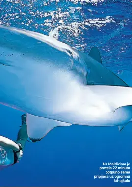  ??  ?? Na Maldivima je provela 22 minuta
potpuno sama pripijena uz ogromnu
kit-ajkulu