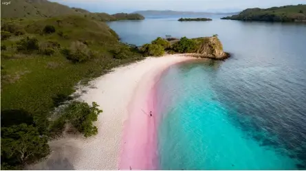  ??  ?? ABOVE
A pink beach on Padar Island, Komodo Islands