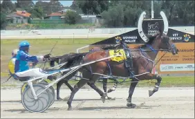  ?? Picture: TONY LOGAN ?? MAIDEN VICTORY: Normandy Nugget, five, with Great Western trainer-driver Michelle Wight aboard, holds Jazzy Melea, Aaron Dunn, at bay to capture the $7000 Perry’s Footwear three-year-old-plus Maiden Pace at Stawell on Australia Day.