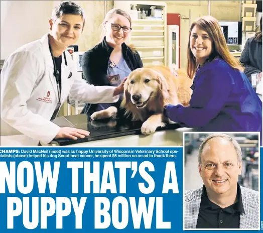  ??  ?? CHAMPS: David MacNeil (inset) was so happy University of Wisconsin Veterinary School specialist­s (above) helped his dog Scout beat cancer, he spent $6 million on an ad to thank them.