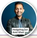  ?? ?? Hedgehog fan Amir Khan