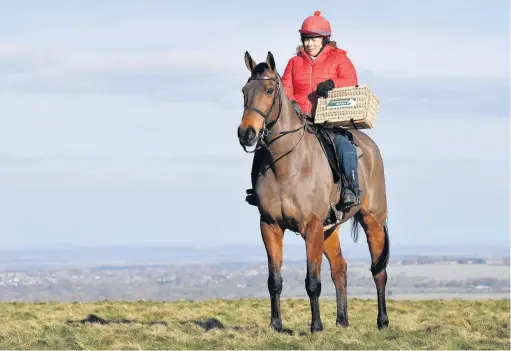  ??  ?? 2015 champion Coneygree