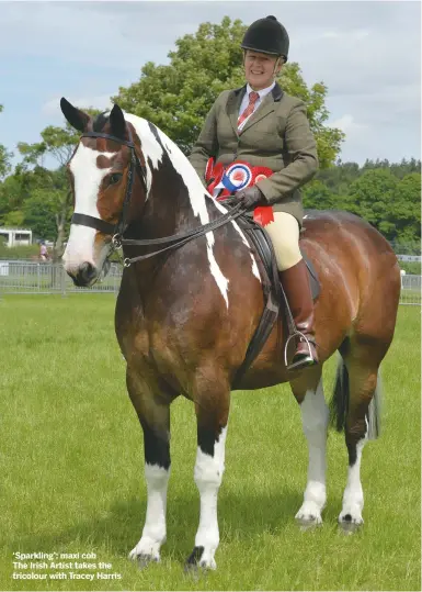  ??  ?? ‘Sparkling’: maxi cob
The Irish Artist takes the tricolour with Tracey Harris