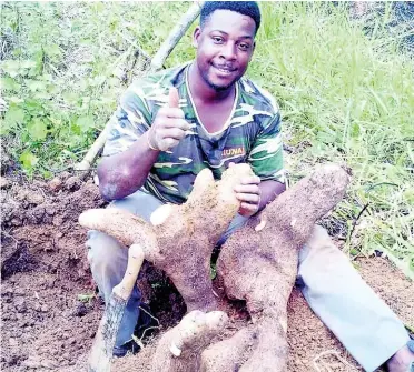  ?? PHOTO BY CECELIA CAMPBELL-LIVINGSTON ?? Nicholas Anderson shows off some of his champion ginger.