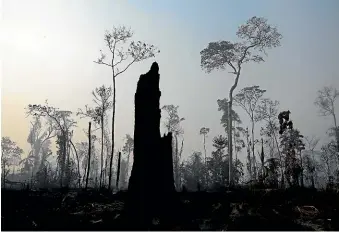  ?? AP ?? Charred trees stand after a forest fire in the Vila Nova Samuel region, along the road to the Jacunda National Forest near the city of Porto Velho, Rondonia state, part of Brazil’s Amazon.