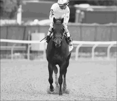  ?? JUSTIN N. LANE ?? Gronkowski, second in the Belmont Stakes in his first race on dirt, is pointing to the Travers.