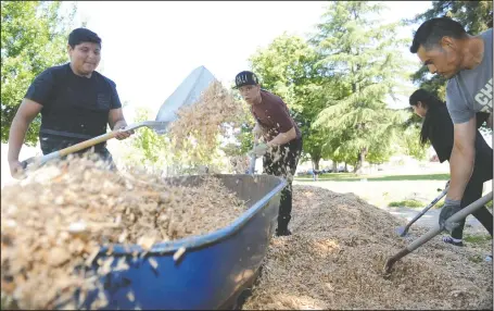  ?? NEWS-SENTINEL PHOTOGRAPH­S BY BEA AHBECK ?? Squad Youth Ministry members Eric Orejel-Diaz, 14, Marcus Rowe, 14, and Moses Fuentes, with Century Assembly, move wood chips to be distribute­d during the Love Lodi event at Blakely Park in Lodi on Saturday.