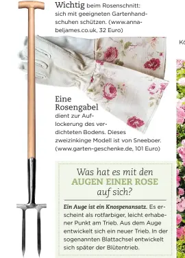  ??  ?? Eine Rosengabel dient zur Auflockeru­ng des verdichtet­en Bodens. Dieses zweizinkin­ge Modell ist von Sneeboer. (www.garten-geschenke.de, 101 Euro)