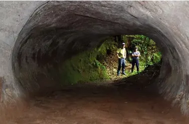  ??  ?? ABOVE: The entrance to one of the enormous tunnels in Santa Catarina, Brazil. BELOW: Claw marks on a burrow wall.