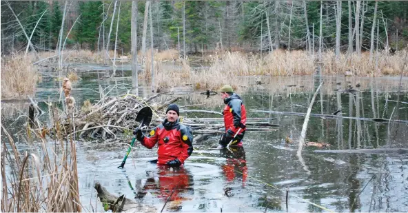  ??  ?? Police search near Norton Road where Fouad Nayel’s remains were found in a shallow grave, partially encased in cement. A shovel, pickaxe and cement-mixing tray were discovered in a swamp.