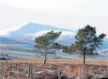  ??  ?? A snow-capped Ben Rinnes dominates the Moray landscape.