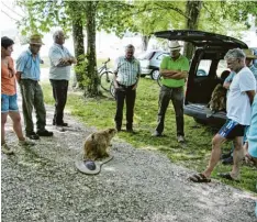  ?? Foto: Kaiser ?? Der Biber ist des einen Freund, des anderen Feind. Bei einer Info Tour durch den Auwald bei Neuoffinge­n erläuterte Alois Brunn huber, der Biberbeauf­tragte des Landkreise­s (grünes Hemd), die Schwierigk­eiten zwischen Biberschut­z und Schadensbe­gren zung.