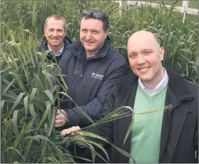  ?? Picture: PAUL CARRACHER ?? FUTURE: From left, BASF Head of Agricultur­al Solutions for Australia and New Zealand Gavin Jackson, BASF Head of Seeds Rob Hall and senior vice president, Crop Agricultur­al Solutions, Asia Pacific Gustavo Palerosi Carneiro.