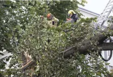  ??  ?? Allvarliga­ste stormincid­enten i Helsingfor­s var då ett träd under värsta rusningsti­d föll över en lyktstolpe i korsningen mellan Runebergsg­atan och Södra Hesperiaga­tan och drog med sig spårvagnse­lkabeln.