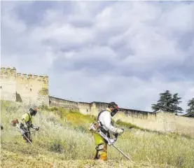  ?? S. GARCÍA ?? Trabajador­es eliminan la hierba de las laderas de la alcazaba.