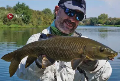  ??  ?? Jorge Fernández y un bello barbo común capturado con mosca seca en el río Taj, un ámbito cristalino y de extrema tranquilid­ad.