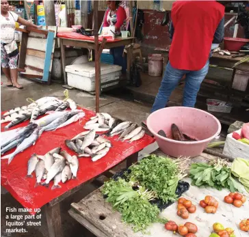  ??  ?? Fish make up a large part of Iquitos’ street markets.