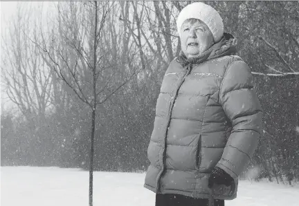  ?? JULIE OLIVER ?? Eleanor Dunn, 79, planted a tree as a memorial to her son Mark — a journalist who died in 2014 — in New Edinburgh Park. Now she’s worried the young red oak that stands in front of his marker will be destroyed by a massive constructi­on project or the...