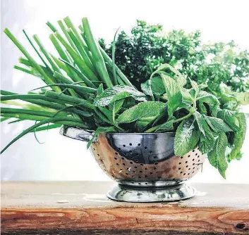  ?? PHOTOS: KAREN BARNABY ?? Parsley, mint and green onion are an unbeatable trifecta in many tasty recipes.