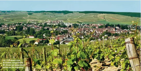  ??  ?? Les 17 Premiers crus de Chablis comprennen­t 40 climats qui apparaisse­nt parfois sur les Žtiquettes.