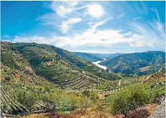  ?? 123RF ?? Portugal’s famous Douro Valley is home to some of the world’s most affordable wine.