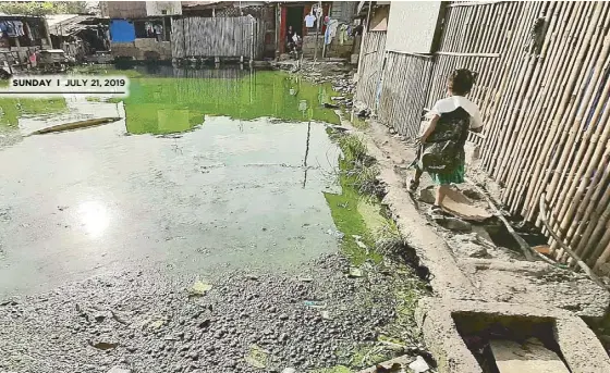  ?? JOY TORREJOS/THE FREEMAN ?? A girl walks past stagnant water in Purok Ube, Barangay Gun-ob, Lapu-Lapu City, Cebu on Wednesday. The DOH said dengue-carrying mosquitoes breed in stagnant water.