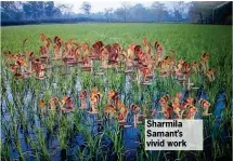  ??  ?? Sharmila Samant’s vivid work