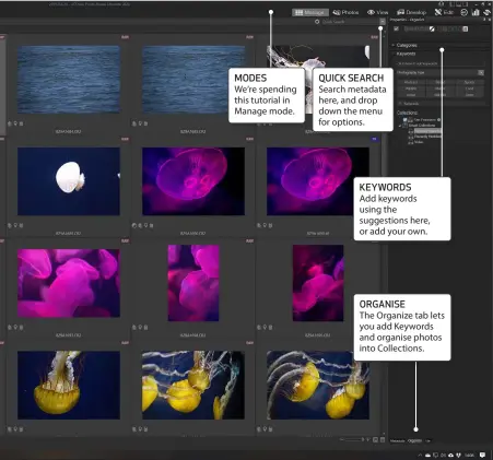  ??  ?? We’re spending this tutorial in Manage mode.
Search metadata here, and drop down the menu for options.
Add keywords using the suggestion­s here, or add your own.
The Organize tab lets you add Keywords and organise photos into Collection­s.
JARGON BUSTER! CATALOGUE
ACDSee, in common with other image management apps, keeps a database of image data, nondestruc­tive edits, etc.
METADATA
Data about data. Your camera saves a lot of informatio­n on each photo it takes, which you can add to.
KEYWORDS
Words associated with your images, designed to be searched for.
IAN’S BEST TIP!
Back up your catalogue regularly. If anything goes wrong, you’ll mourn its loss. The app will prompt you.