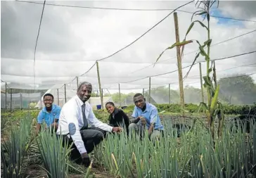  ?? Picture: KEVIN SUTHERLAND ?? FLOURISHIN­G: Deputy principal Peters Mathebula with Grade 12 pupils Nkuna Nsovo, left, Admine Sibuyi, centre, and Vusi Sibuyi in the vegetable garden, which mirrors the healthy developmen­t of Manyangana High School