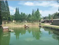  ?? PHOTOS BY YANG FEIYUE / CHINA DAILY ?? Tourists visit Wucun for its pastoral appeal. The village in the famous water town Wuzhen in Zhejiang province has been developed into a tourist attraction that brings city people close to nature, and they can enjoy fresh food directly from the fields.