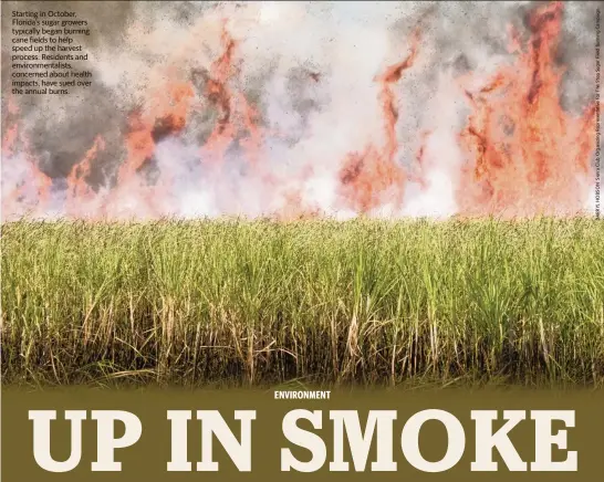  ?? ?? Starting in October, Florida’s sugar growers typically began burning cane fields to help speed up the harvest process. Residents and environmen­talists, concerned about health impacts, have sued over the annual burns.