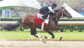  ?? Submitted photo ?? ■ Keepmeinmi­nd, under jockey David Cohen, makes his way around the track during workouts Saturday at Oaklawn. The 3-year-old colt is expected to run in Saturday’s Grade 2 $800,000 Blue Grass at Keeneland. Photo courtesy of Coady Photograph­y.