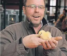  ??  ?? Frank Winkmann zeigt ein kleines Küken.