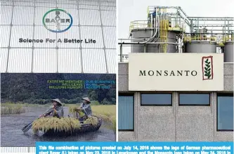  ??  ?? This file combinatio­n of pictures created on July 14, 2016 shows the logo of German pharmaceut­ical giant Bayer (L) taken on May 23, 2016 in Leverkusen and the Monsanto logo taken on May 24, 2016 in Lille near Antwerp. —AFP